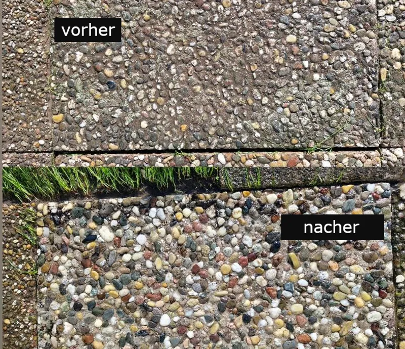 Dachreinigung Ergebnis